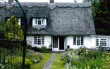 Thatched cottage with new windows