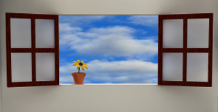 Window and Sunflower